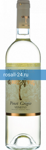 Фото 2 - Вино Pinot Grigio Torresella